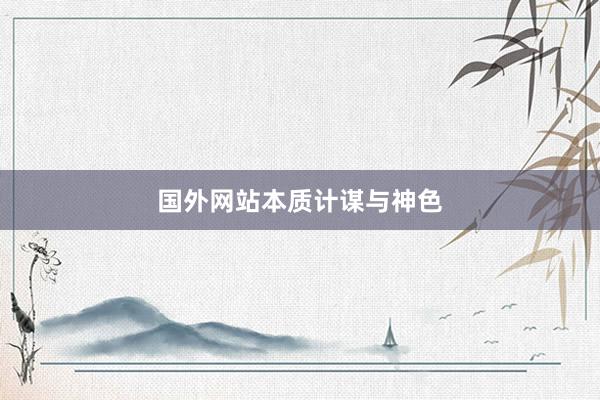 国外网站本质计谋与神色